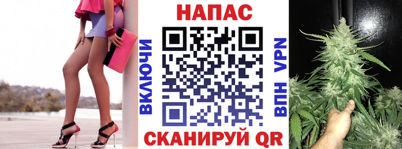 Каннабис Сосновый Бор