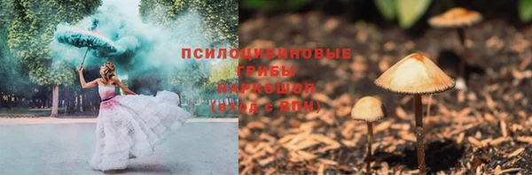 СК Михайловск
