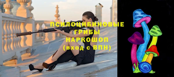spice Алексин