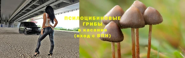 спиды Алзамай