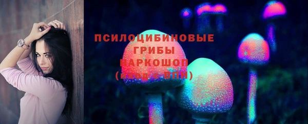 spice Алексин
