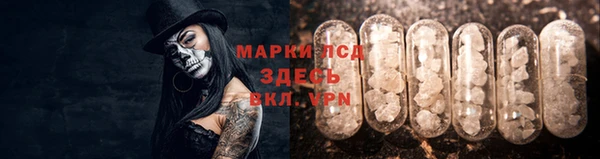 спиды Алзамай