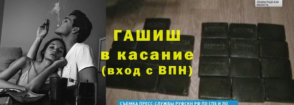 прущие грибы Алексеевка