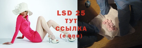 прущие грибы Алексеевка