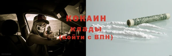 spice Алексин