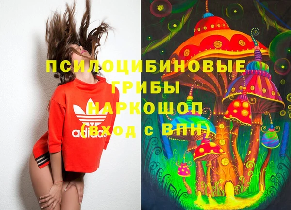 спиды Алзамай
