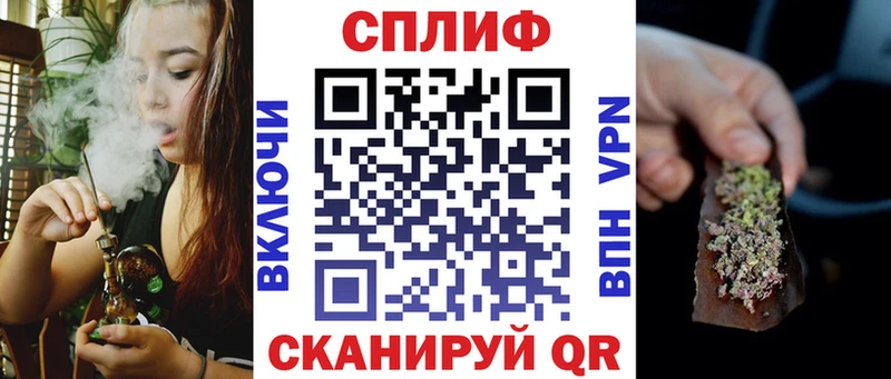 Конопля сатива Сосновый Бор